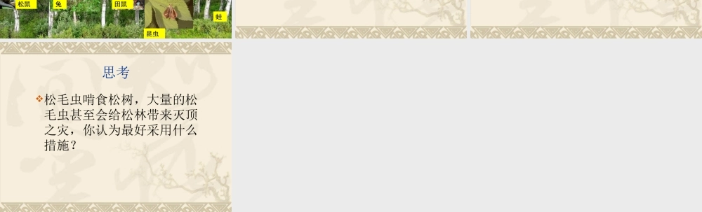 苏教小学科学六下《4.3.有趣的食物链》PPT课件 (5)【加微信公众号 jiaoxuewuyou 九折优惠qq 1119139686】.ppt