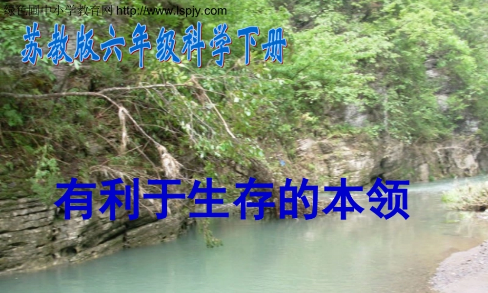 苏教小学科学六下《4.2.有利于生存的本领》PPT课件 (7)【加微信公众号 jiaoxuewuyou 九折优惠qq 1119139686】.ppt