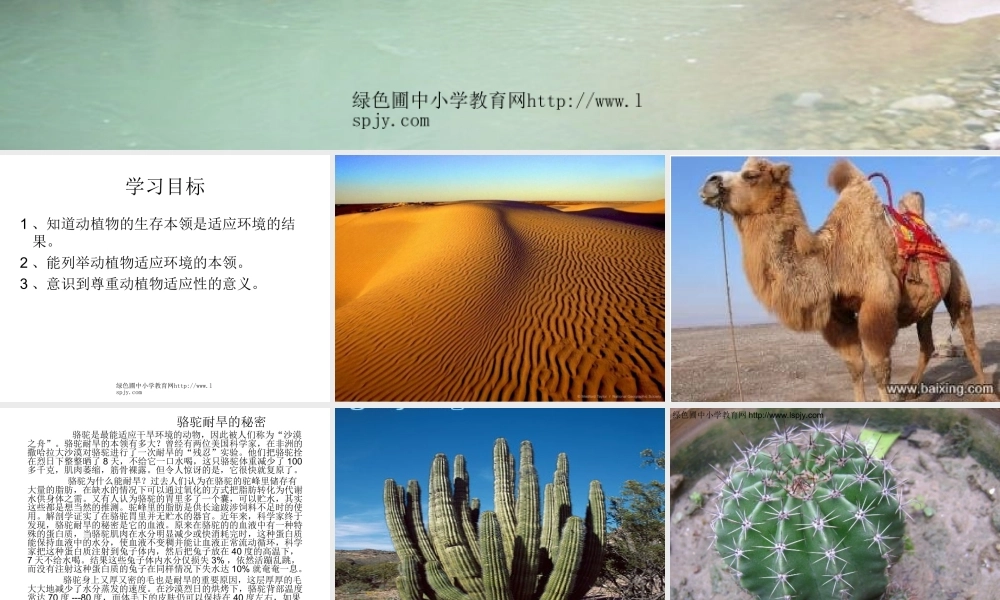 苏教小学科学六下《4.2.有利于生存的本领》PPT课件 (7)【加微信公众号 jiaoxuewuyou 九折优惠qq 1119139686】.ppt