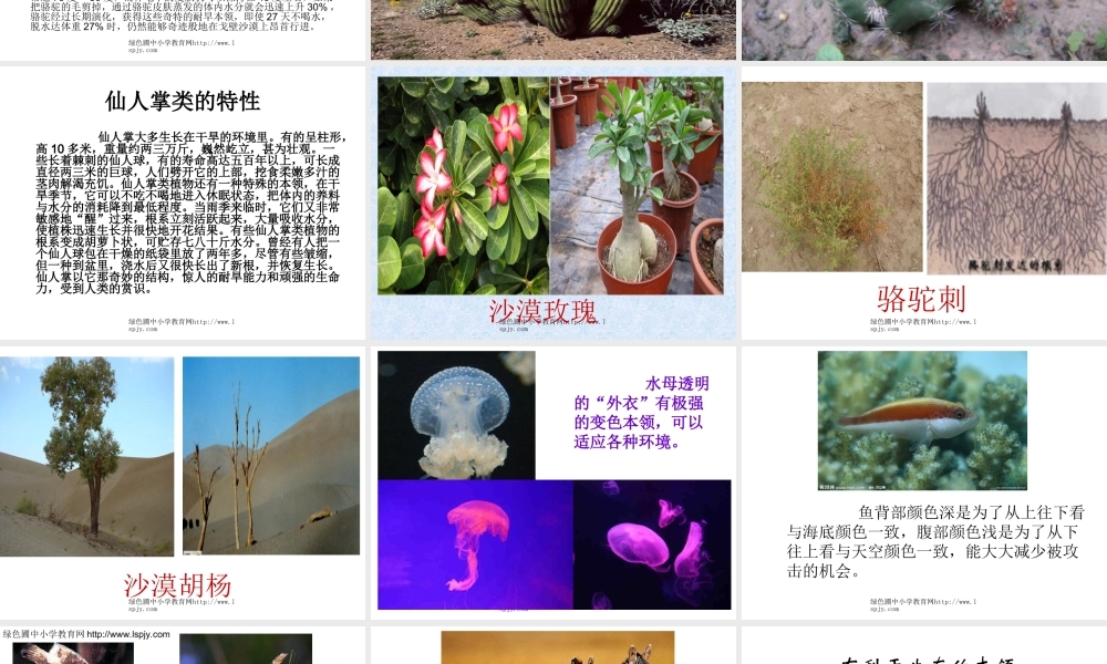 苏教小学科学六下《4.2.有利于生存的本领》PPT课件 (7)【加微信公众号 jiaoxuewuyou 九折优惠qq 1119139686】.ppt