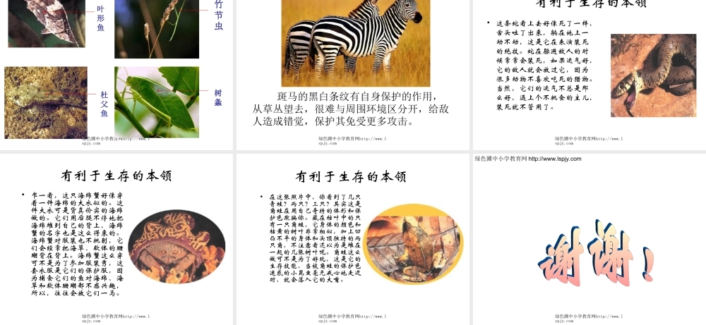 苏教小学科学六下《4.2.有利于生存的本领》PPT课件 (7)【加微信公众号 jiaoxuewuyou 九折优惠qq 1119139686】.ppt
