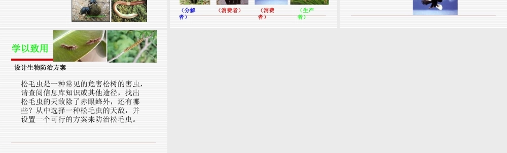 苏教小学科学六下《4.3.有趣的食物链》PPT课件 (6)【加微信公众号 jiaoxuewuyou 九折优惠qq 1119139686】.ppt