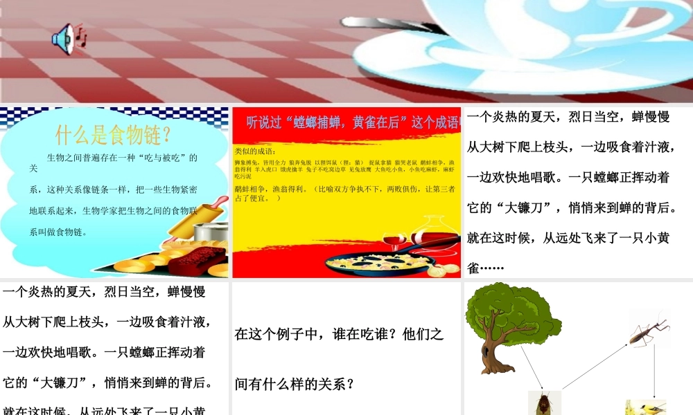 苏教小学科学六下《4.3.有趣的食物链》PPT课件 (9)【加微信公众号 jiaoxuewuyou 九折优惠qq 1119139686】.ppt