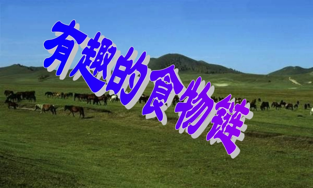 苏教小学科学六下《4.3.有趣的食物链》PPT课件 (2)【加微信公众号 jiaoxuewuyou 九折优惠qq 1119139686】.ppt