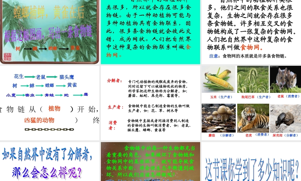 苏教小学科学六下《4.3.有趣的食物链》PPT课件 (2)【加微信公众号 jiaoxuewuyou 九折优惠qq 1119139686】.ppt
