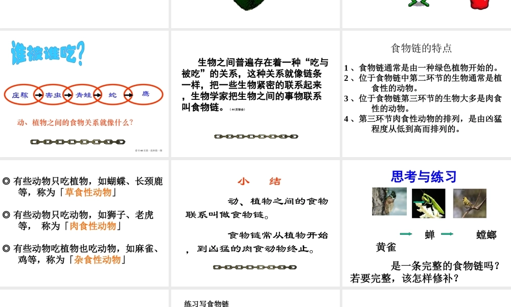 苏教小学科学六下《4.3.有趣的食物链》PPT课件 (12)【加微信公众号 jiaoxuewuyou 九折优惠qq 1119139686】.ppt