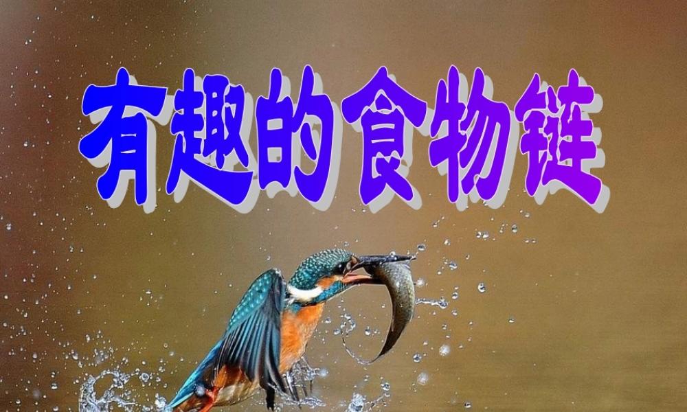 苏教小学科学六下《4.3.有趣的食物链》PPT课件 (4)【加微信公众号 jiaoxuewuyou 九折优惠qq 1119139686】.ppt