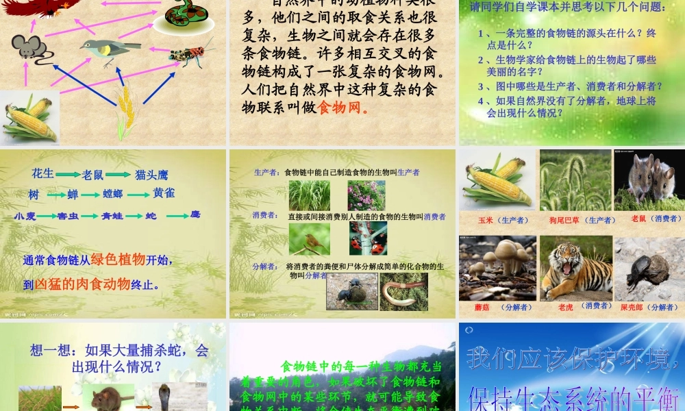 苏教小学科学六下《4.3.有趣的食物链》PPT课件 (4)【加微信公众号 jiaoxuewuyou 九折优惠qq 1119139686】.ppt