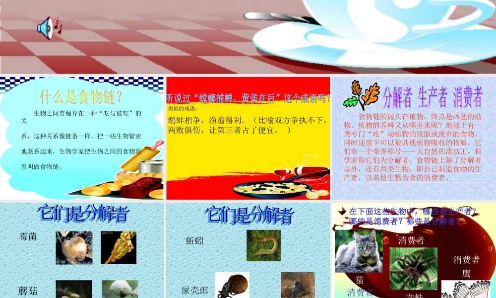 苏教小学科学六下《4.3.有趣的食物链》PPT课件 (14)【加微信公众号 jiaoxuewuyou 九折优惠qq 1119139686】.ppt