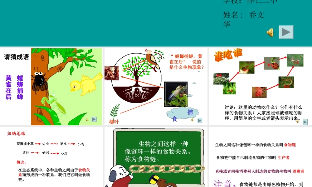 苏教小学科学六下《4.3.有趣的食物链》PPT课件 (10)【加微信公众号 jiaoxuewuyou 九折优惠qq 1119139686】.ppt