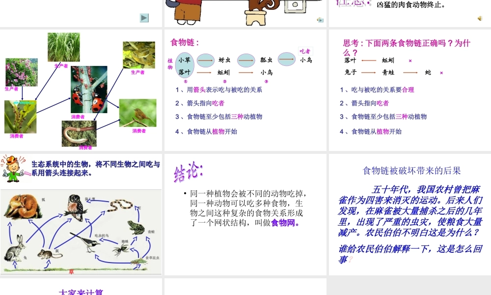 苏教小学科学六下《4.3.有趣的食物链》PPT课件 (10)【加微信公众号 jiaoxuewuyou 九折优惠qq 1119139686】.ppt