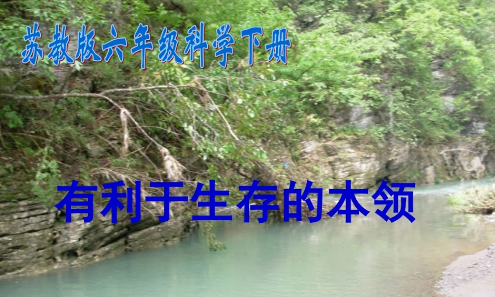 苏教小学科学六下《4.2.有利于生存的本领》PPT课件 (4)【加微信公众号 jiaoxuewuyou 九折优惠qq 1119139686】.ppt