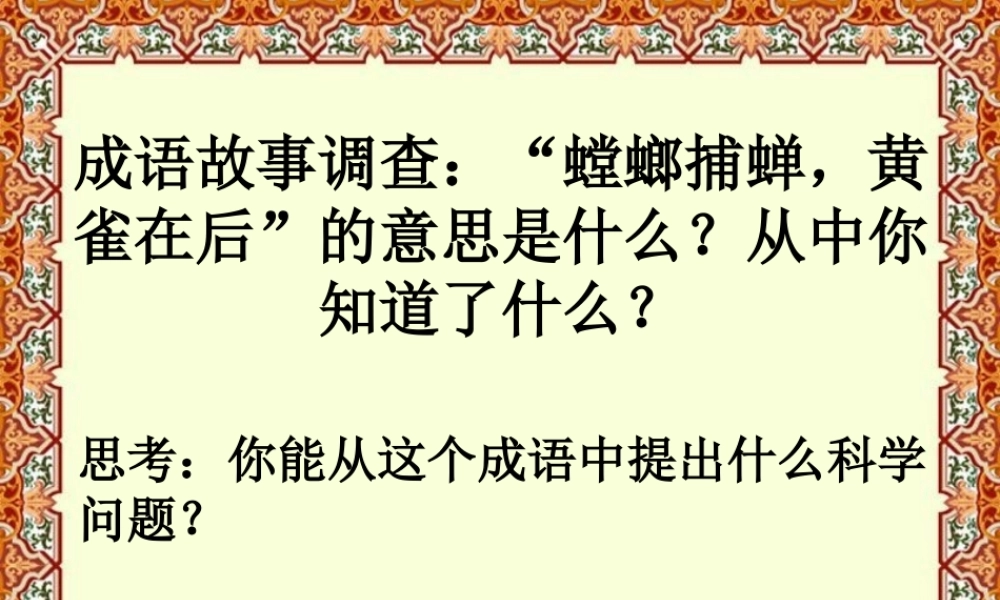 苏教小学科学六下《4.3.有趣的食物链》PPT课件 (3)【加微信公众号 jiaoxuewuyou 九折优惠qq 1119139686】.ppt