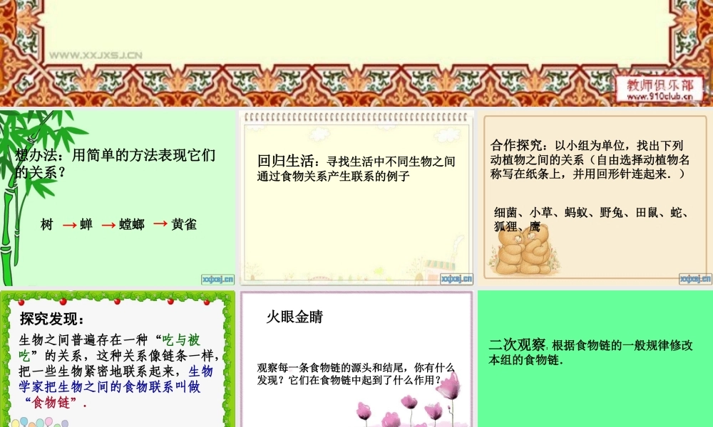 苏教小学科学六下《4.3.有趣的食物链》PPT课件 (3)【加微信公众号 jiaoxuewuyou 九折优惠qq 1119139686】.ppt