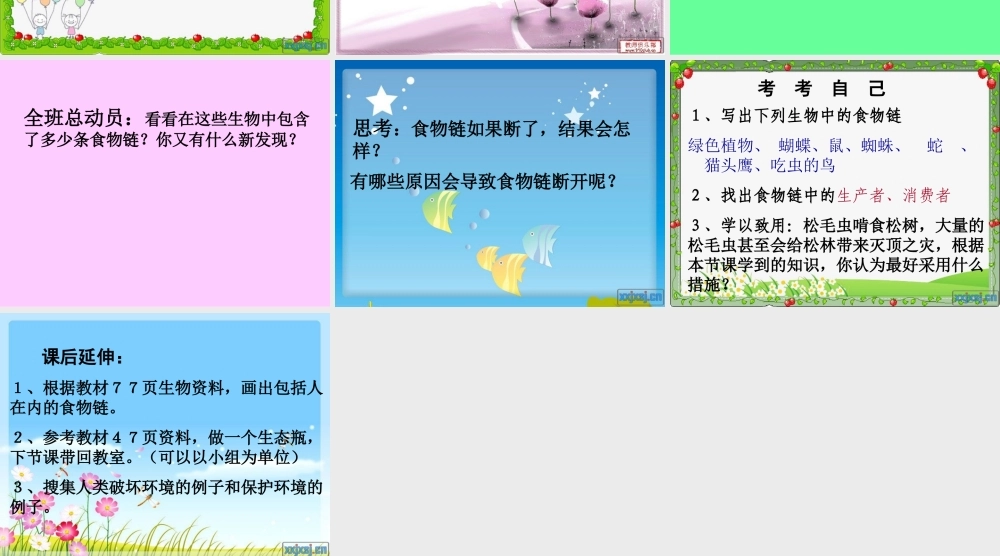 苏教小学科学六下《4.3.有趣的食物链》PPT课件 (3)【加微信公众号 jiaoxuewuyou 九折优惠qq 1119139686】.ppt