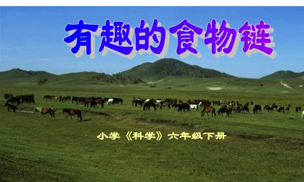 苏教小学科学六下《4.3.有趣的食物链》PPT课件 (13)【加微信公众号 jiaoxuewuyou 九折优惠qq 1119139686】.ppt