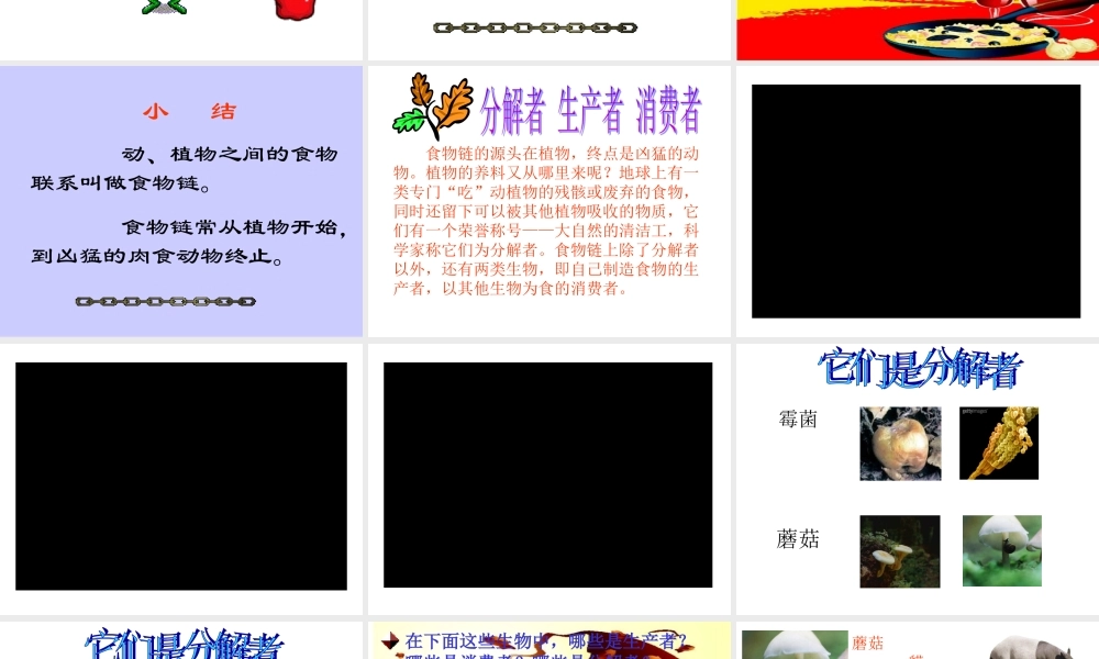 苏教小学科学六下《4.3.有趣的食物链》PPT课件 (13)【加微信公众号 jiaoxuewuyou 九折优惠qq 1119139686】.ppt
