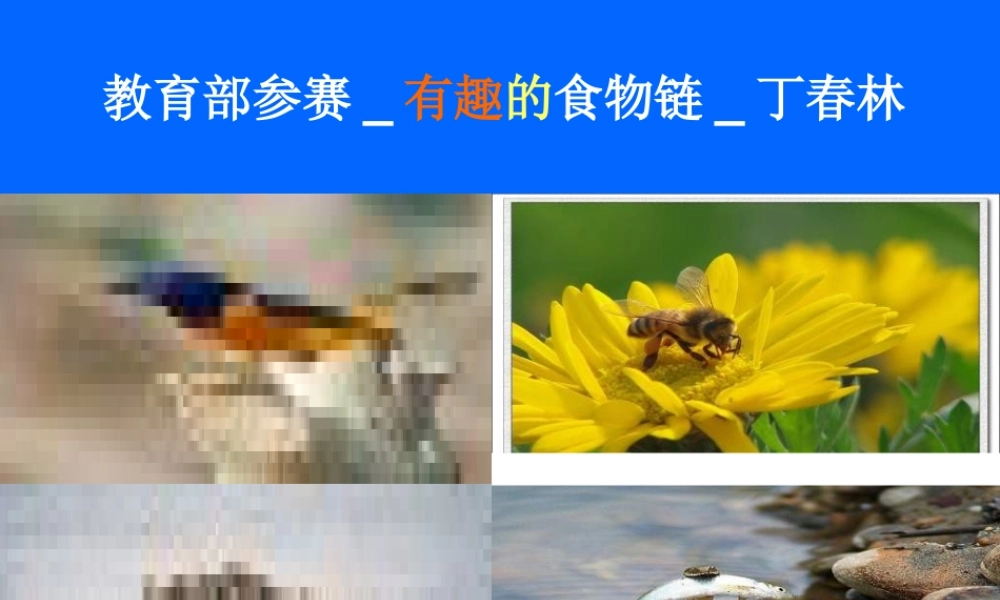 苏教小学科学六下《4.3.有趣的食物链》PPT课件 (7)【加微信公众号 jiaoxuewuyou 九折优惠qq 1119139686】.ppt