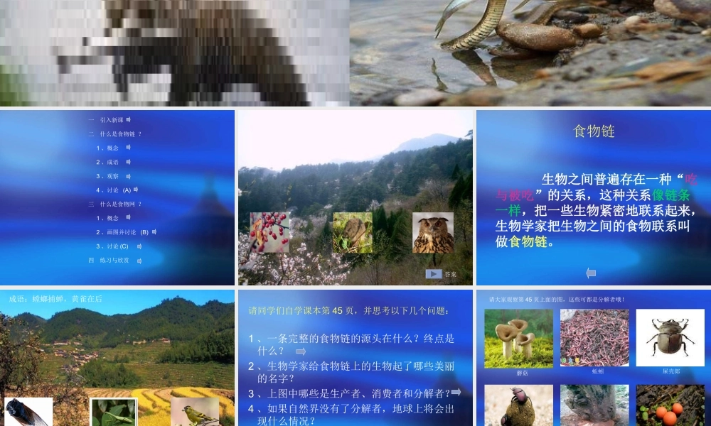 苏教小学科学六下《4.3.有趣的食物链》PPT课件 (7)【加微信公众号 jiaoxuewuyou 九折优惠qq 1119139686】.ppt