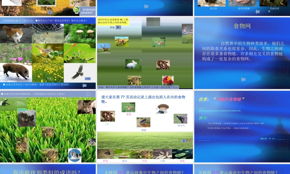 苏教小学科学六下《4.3.有趣的食物链》PPT课件 (7)【加微信公众号 jiaoxuewuyou 九折优惠qq 1119139686】.ppt