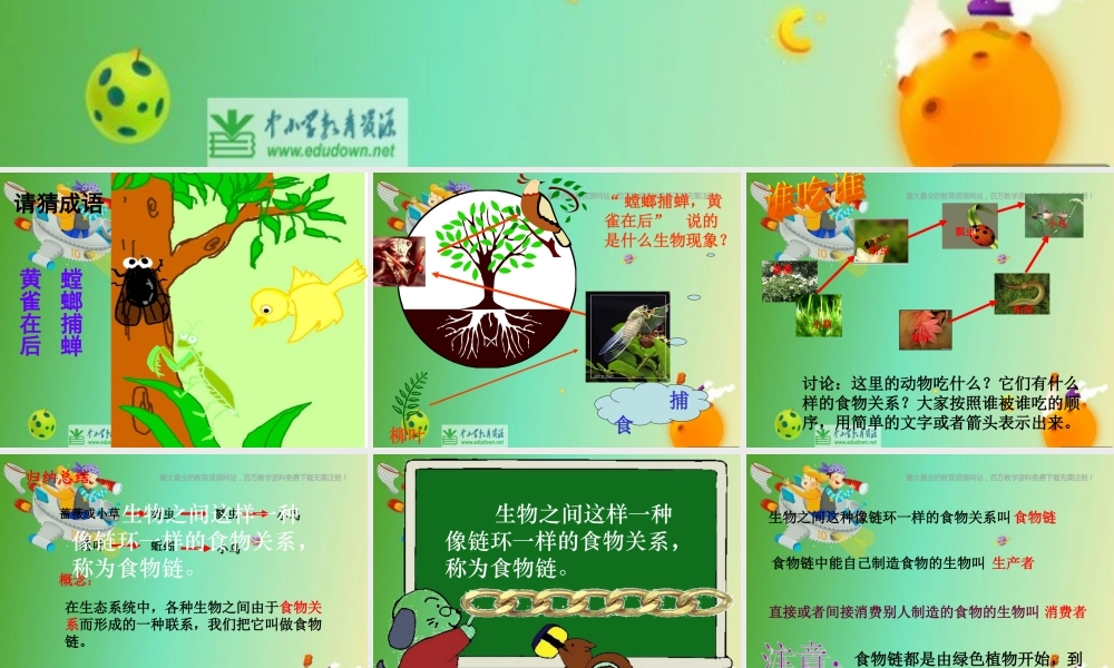 苏教小学科学六下《4.3.有趣的食物链》PPT课件 (1)【加微信公众号 jiaoxuewuyou 九折优惠qq 1119139686】.ppt