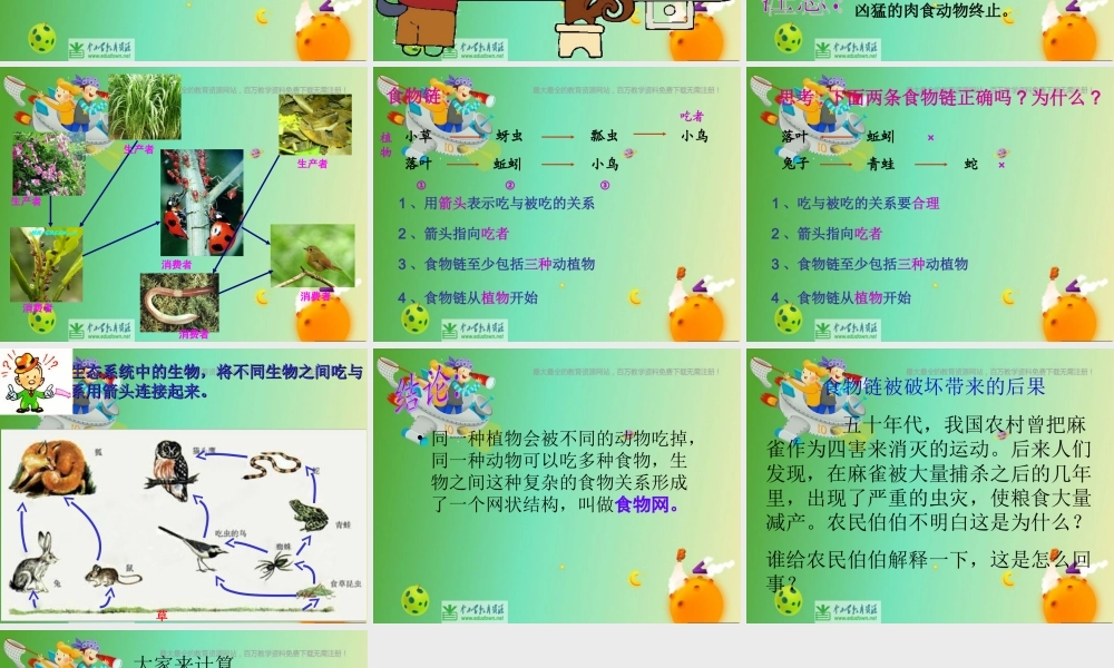 苏教小学科学六下《4.3.有趣的食物链》PPT课件 (1)【加微信公众号 jiaoxuewuyou 九折优惠qq 1119139686】.ppt