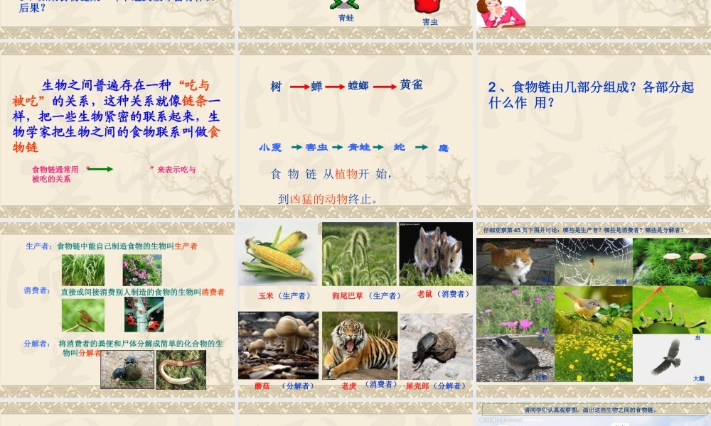 苏教小学科学六下《4.3.有趣的食物链》PPT课件 (11)【加微信公众号 jiaoxuewuyou 九折优惠qq 1119139686】.ppt