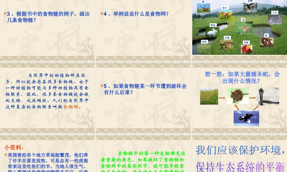 苏教小学科学六下《4.3.有趣的食物链》PPT课件 (11)【加微信公众号 jiaoxuewuyou 九折优惠qq 1119139686】.ppt