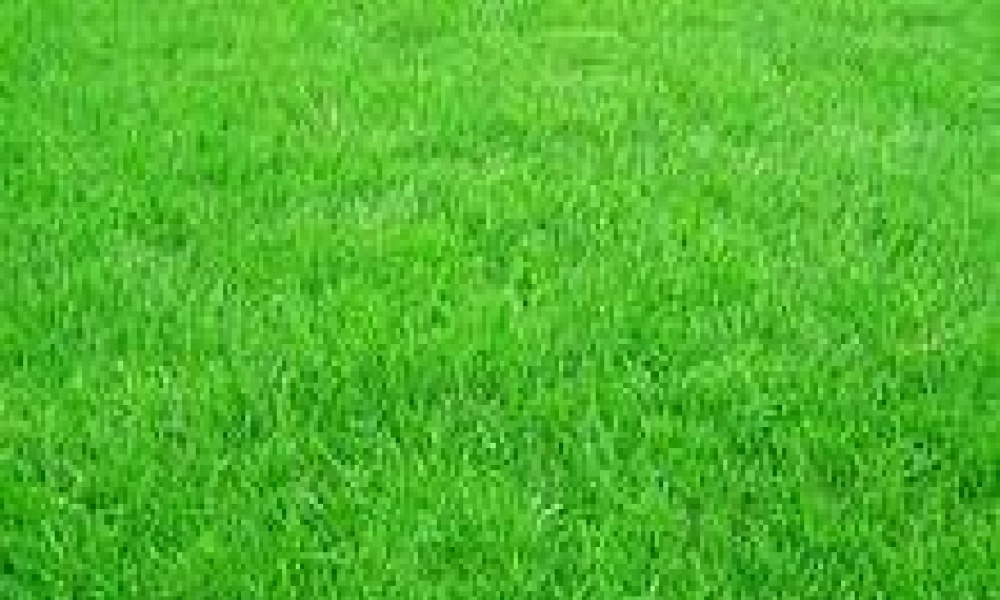 苏教小学科学六下《4.3.有趣的食物链》PPT课件 (15)【加微信公众号 jiaoxuewuyou 九折优惠qq 1119139686】.ppt