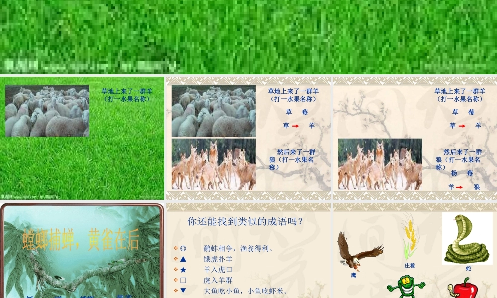 苏教小学科学六下《4.3.有趣的食物链》PPT课件 (15)【加微信公众号 jiaoxuewuyou 九折优惠qq 1119139686】.ppt