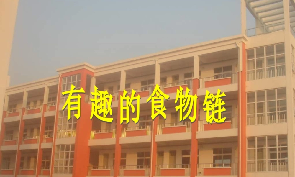 苏教小学科学六下《4.3.有趣的食物链》PPT课件 (16)【加微信公众号 jiaoxuewuyou 九折优惠qq 1119139686】.ppt
