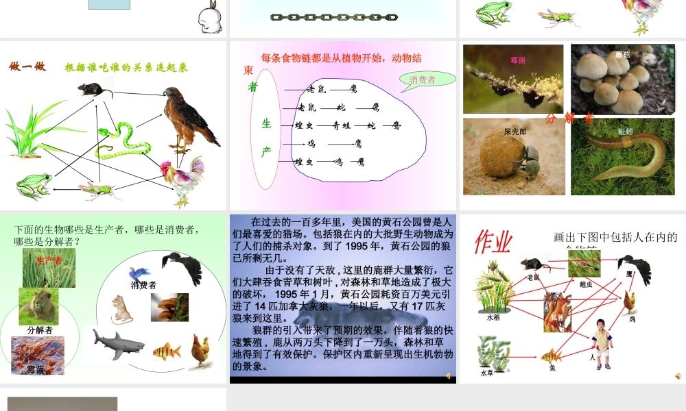 苏教小学科学六下《4.3.有趣的食物链》PPT课件 (16)【加微信公众号 jiaoxuewuyou 九折优惠qq 1119139686】.ppt