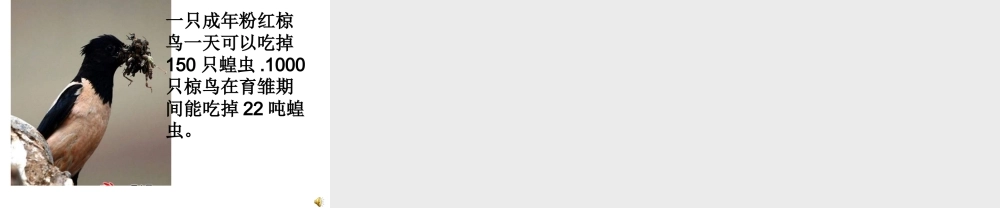 苏教小学科学六下《4.3.有趣的食物链》PPT课件 (16)【加微信公众号 jiaoxuewuyou 九折优惠qq 1119139686】.ppt