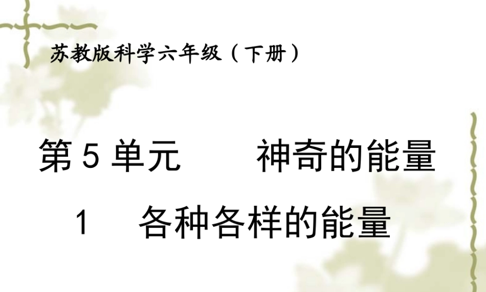 苏教小学科学六下《5.1.各种各样的能量》PPT课件 (5)【加微信公众号 jiaoxuewuyou 九折优惠qq 1119139686】.ppt