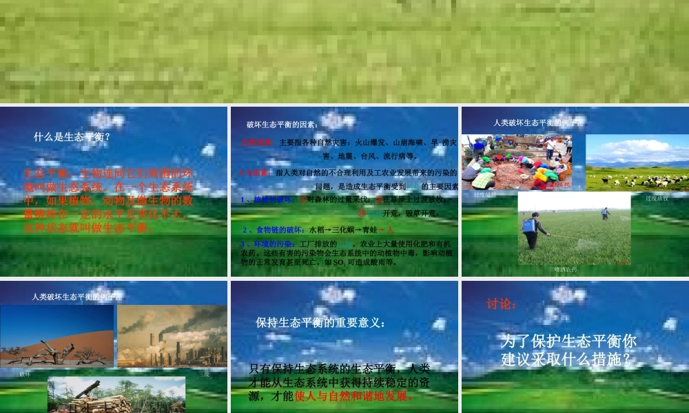 苏教小学科学六下《4.4.生态平衡》PPT课件 (2)【加微信公众号 jiaoxuewuyou 九折优惠qq 1119139686】.ppt