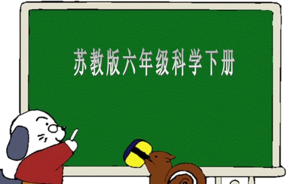 苏教小学科学六下《4.3.有趣的食物链》PPT课件 (18)【加微信公众号 jiaoxuewuyou 九折优惠qq 1119139686】.ppt