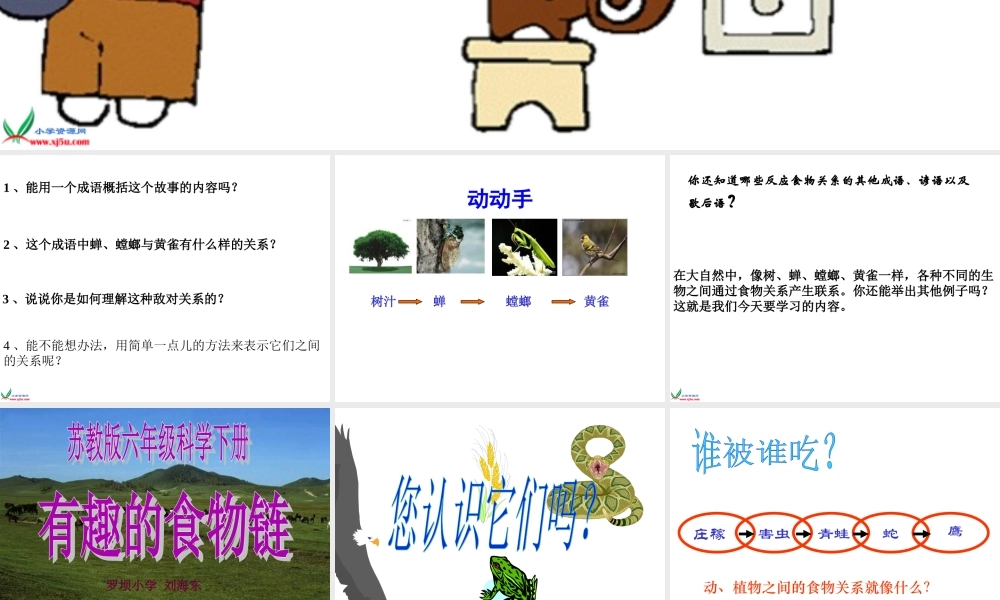 苏教小学科学六下《4.3.有趣的食物链》PPT课件 (18)【加微信公众号 jiaoxuewuyou 九折优惠qq 1119139686】.ppt