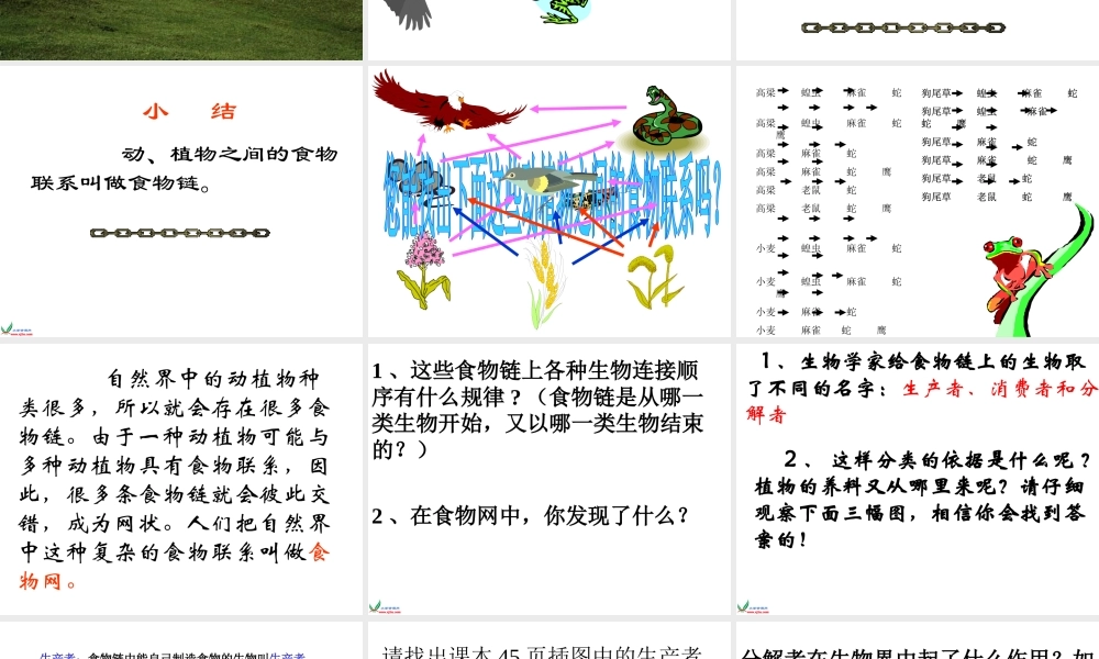 苏教小学科学六下《4.3.有趣的食物链》PPT课件 (18)【加微信公众号 jiaoxuewuyou 九折优惠qq 1119139686】.ppt