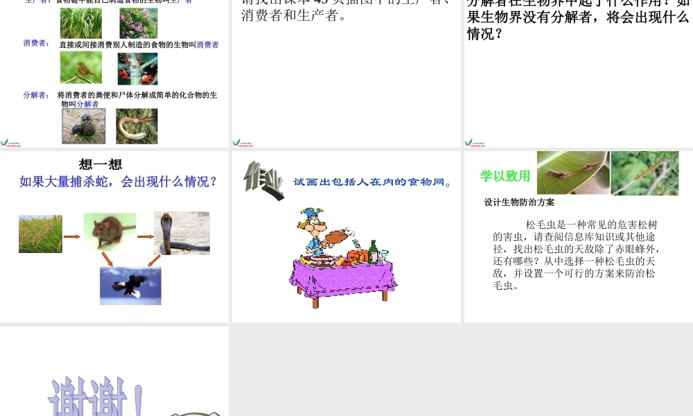 苏教小学科学六下《4.3.有趣的食物链》PPT课件 (18)【加微信公众号 jiaoxuewuyou 九折优惠qq 1119139686】.ppt