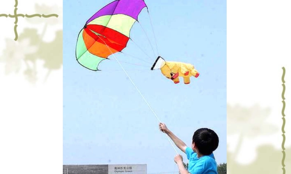 苏教小学科学六下《5.1.各种各样的能量》PPT课件 (4)【加微信公众号 jiaoxuewuyou 九折优惠qq 1119139686】.ppt