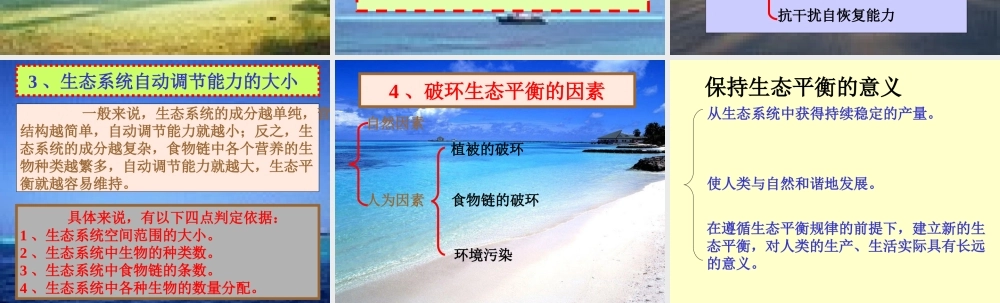 苏教小学科学六下《4.4.生态平衡》PPT课件 (1)【加微信公众号 jiaoxuewuyou 九折优惠qq 1119139686】.ppt