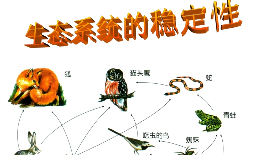 苏教小学科学六下《4.4.生态平衡》PPT课件 (3)【加微信公众号 jiaoxuewuyou 九折优惠qq 1119139686】.ppt