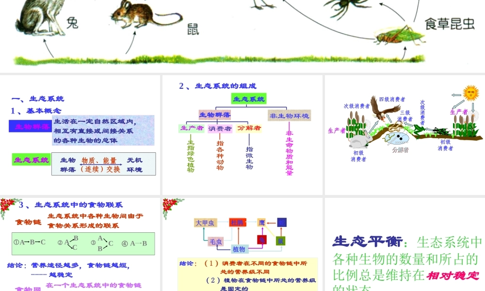 苏教小学科学六下《4.4.生态平衡》PPT课件 (3)【加微信公众号 jiaoxuewuyou 九折优惠qq 1119139686】.ppt