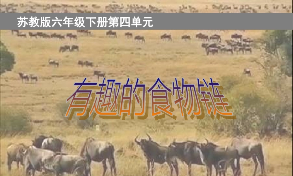苏教小学科学六下《4.3.有趣的食物链》PPT课件 (17)【加微信公众号 jiaoxuewuyou 九折优惠qq 1119139686】.ppt