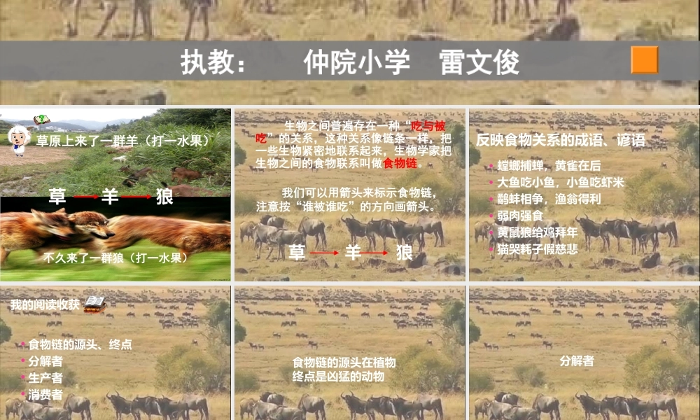 苏教小学科学六下《4.3.有趣的食物链》PPT课件 (17)【加微信公众号 jiaoxuewuyou 九折优惠qq 1119139686】.ppt
