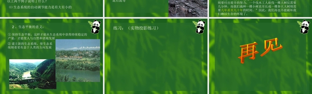 苏教小学科学六下《4.4.生态平衡》PPT课件 (4)【加微信公众号 jiaoxuewuyou 九折优惠qq 1119139686】.ppt