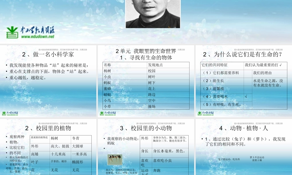 苏教小学科学三上《02做一位小科学家》PPT课件(6)【加微信公众号 jiaoxuewuyou 九折优惠qq 1119139686】.ppt