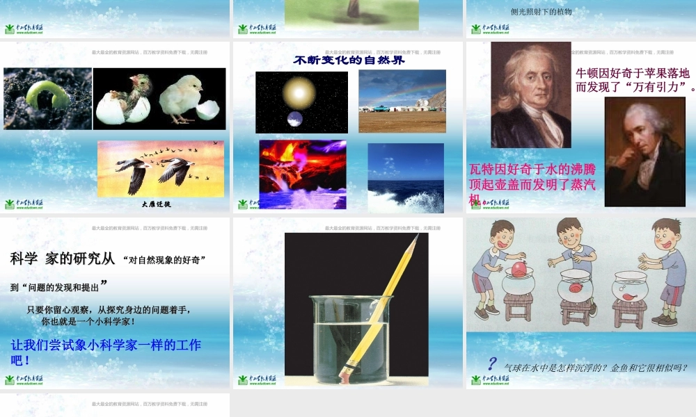 苏教小学科学三上《02做一位小科学家》PPT课件(2)【加微信公众号 jiaoxuewuyou 九折优惠qq 1119139686】.ppt