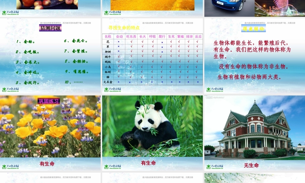 苏教小学科学三上《03寻找有生命的物体》PPT课件(10)【加微信公众号 jiaoxuewuyou 九折优惠qq 1119139686】.ppt