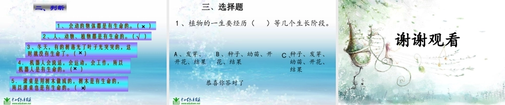 苏教小学科学三上《03寻找有生命的物体》PPT课件(10)【加微信公众号 jiaoxuewuyou 九折优惠qq 1119139686】.ppt